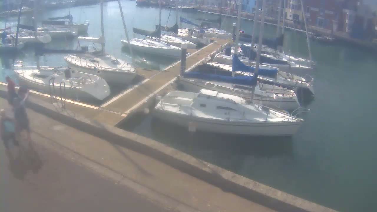 Many sailboats are docked in a marina on a calm, sunny day.