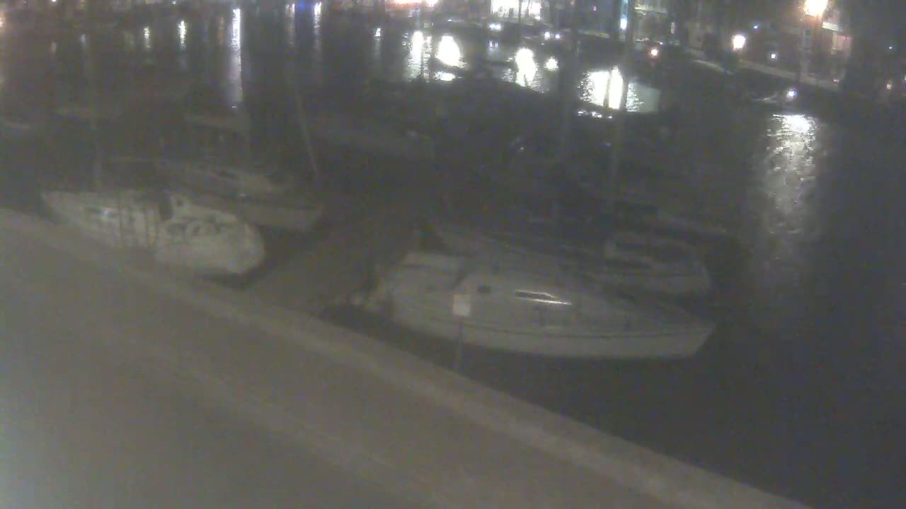 Several boats are docked at a marina at night.