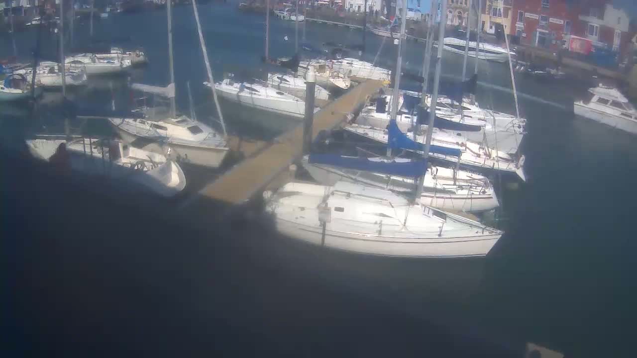 Many sailboats are moored in a marina on a calm, sunny day.