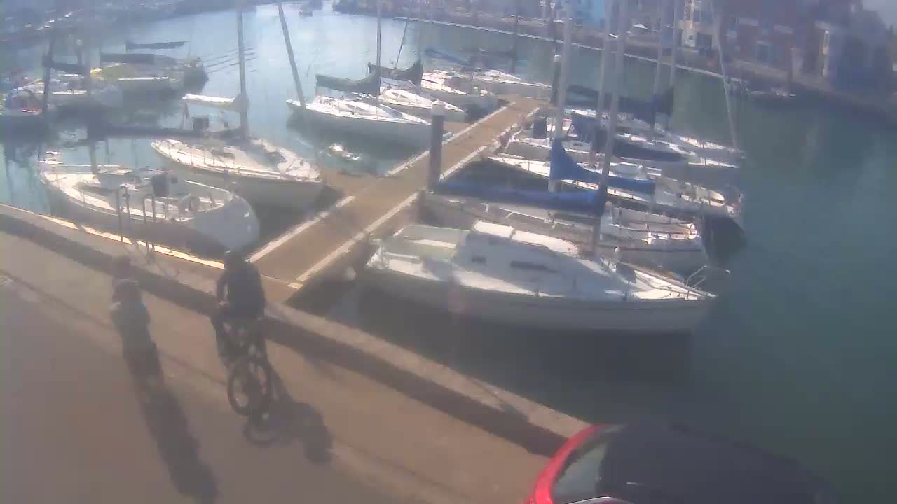 A person bikes past a marina full of sailboats on a sunny day.