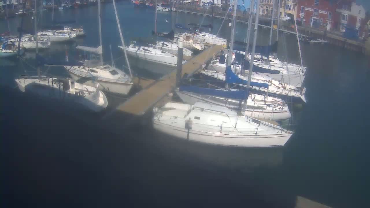 Several sailboats are moored in a calm harbor next to a wooden dock.