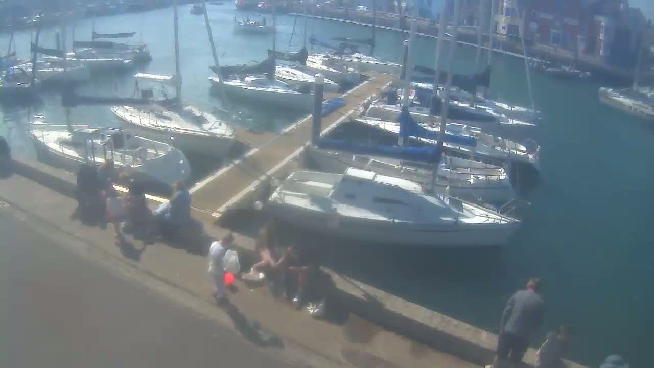 A sunny day at a marina shows numerous sailboats docked along a pier, with several people gathered on the pier's edge.