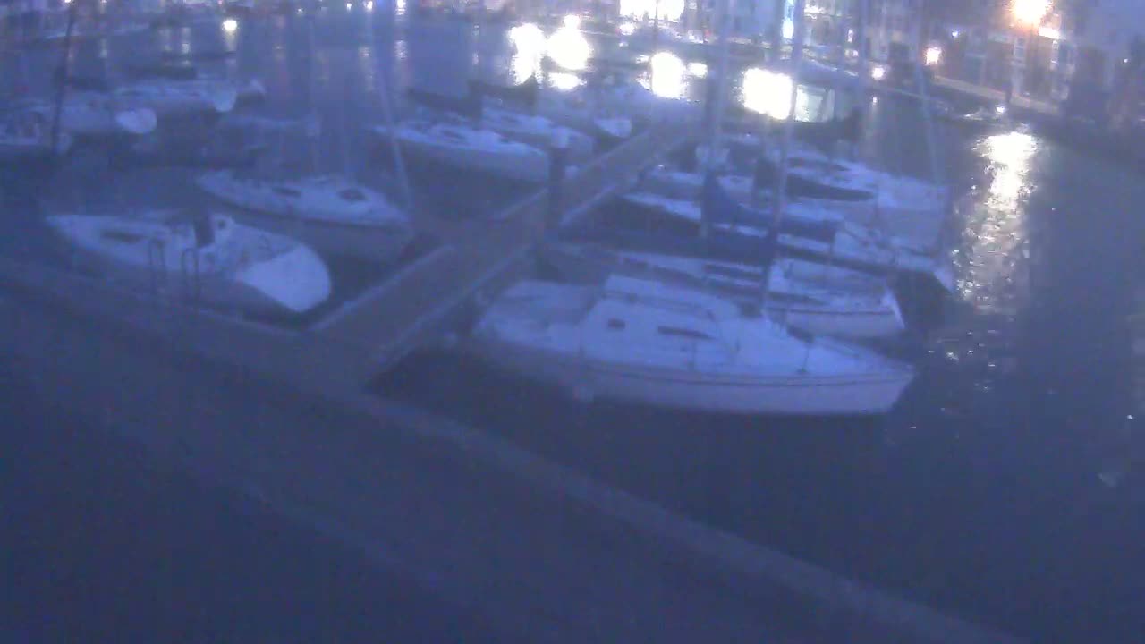 Several sailboats are moored at a dock at night in calm water.
