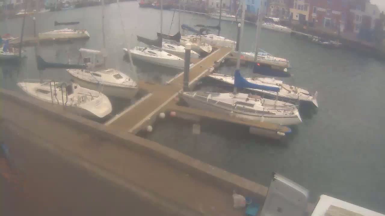 Several sailboats are docked at a marina on a cloudy day.