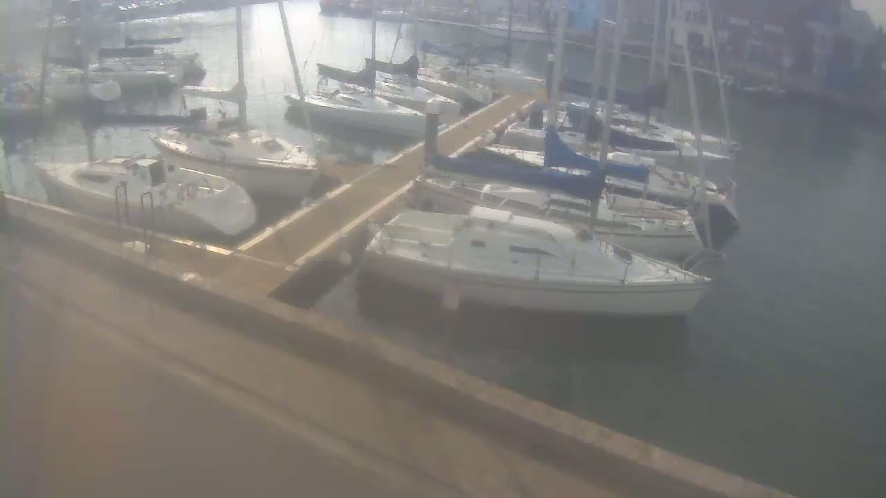 Many sailboats are moored in a calm harbor alongside a dock.