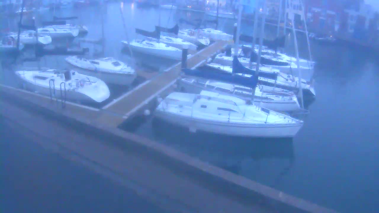 Several sailboats are docked at a marina on a foggy day.
