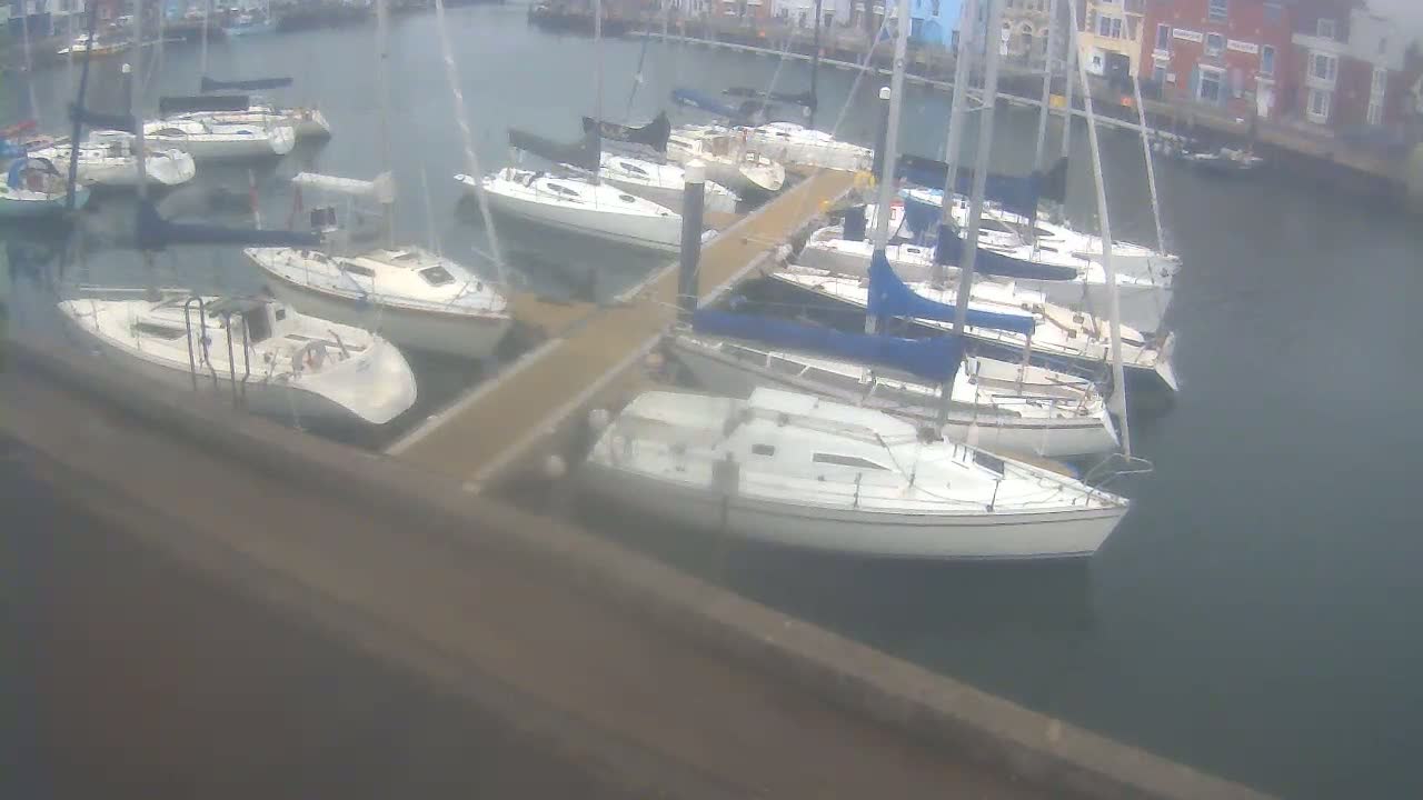 Several sailboats are moored at a marina on an overcast day.