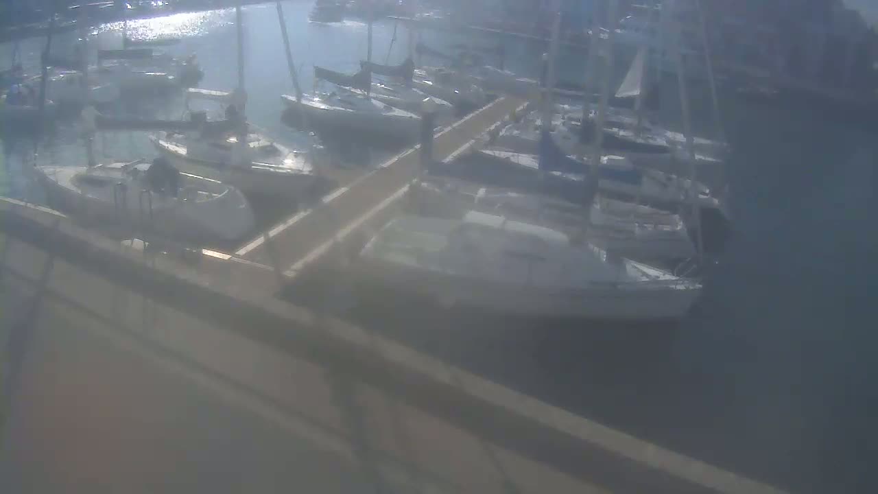 Many sailboats are docked at a marina on a sunny day.