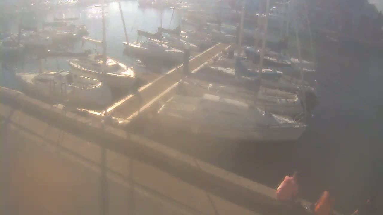 Many sailboats are docked at a marina on a hazy, sunny day.