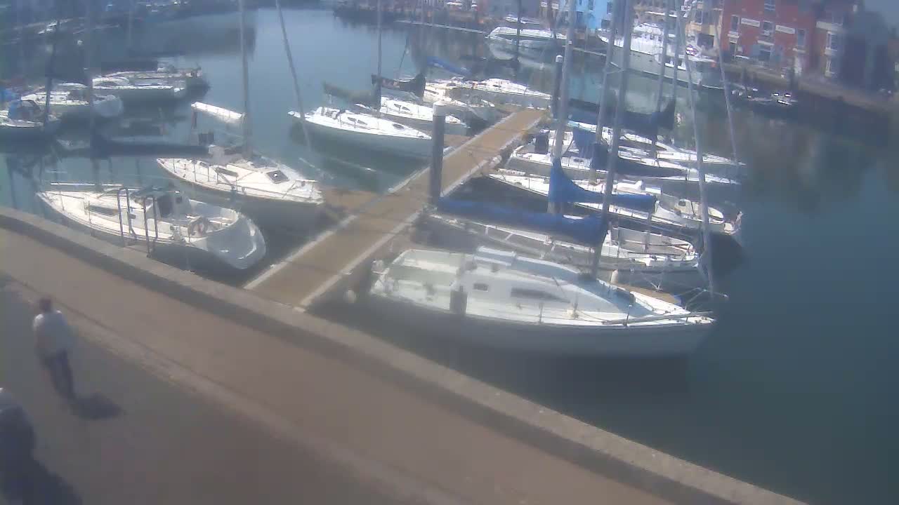 Several sailboats are docked at a marina on a sunny day.