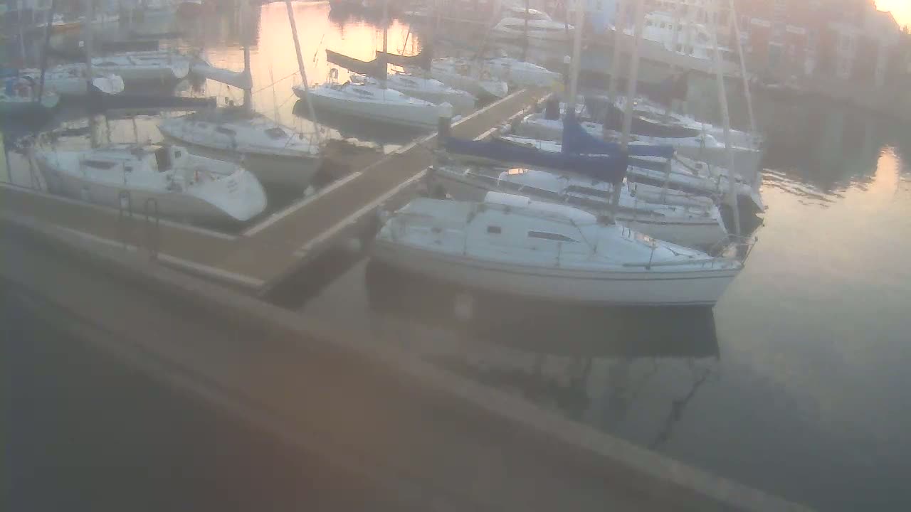 Many sailboats are docked at a marina during a calm, hazy sunrise.
