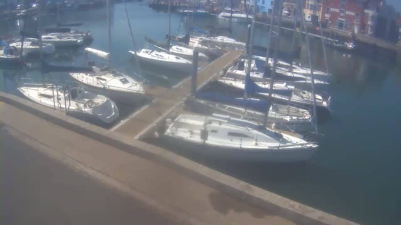 Many sailboats are docked in a marina on a sunny day.