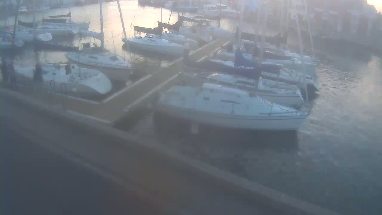 Several sailboats are moored at a dock in calm, hazy water.