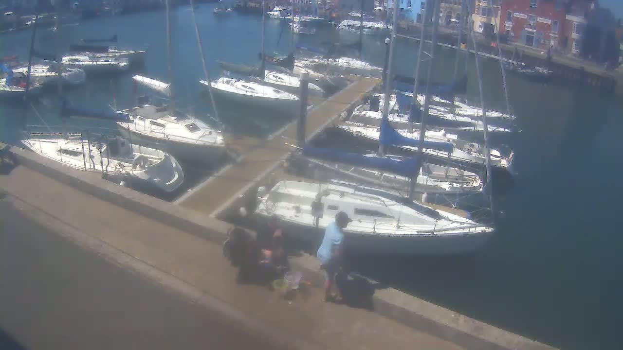 A sunny day at a marina shows numerous sailboats docked along a pier, with a family gathering their belongings near the water's edge.
