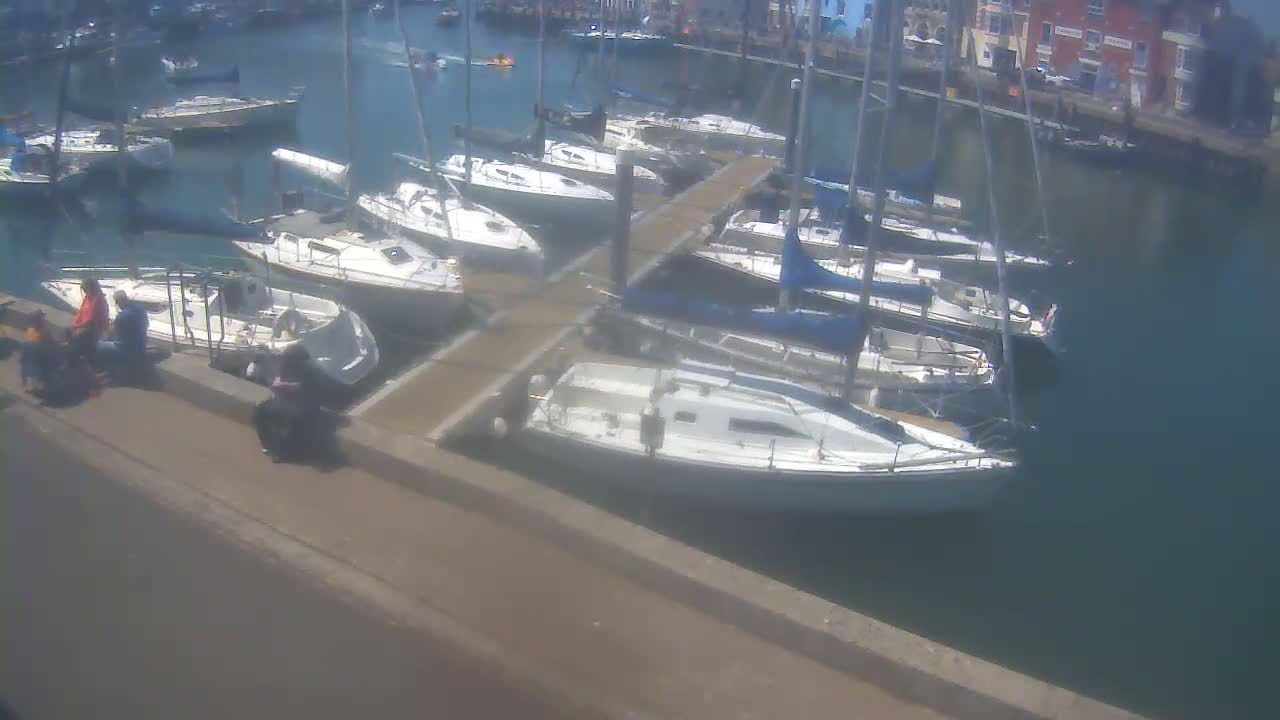 A sunny day at a marina shows numerous sailboats docked at piers with a few people sitting on a nearby wall.