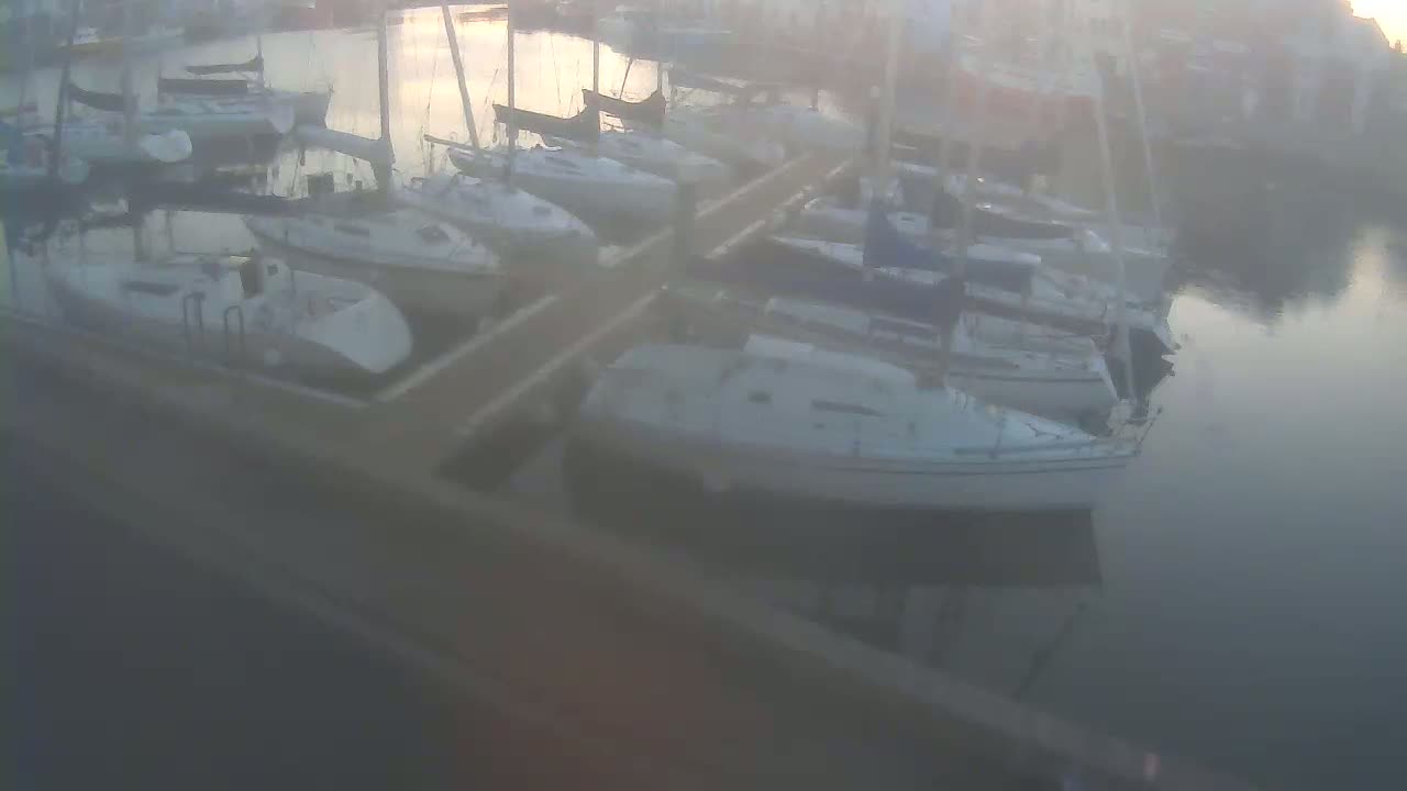 Many sailboats are docked at a marina on a foggy morning.