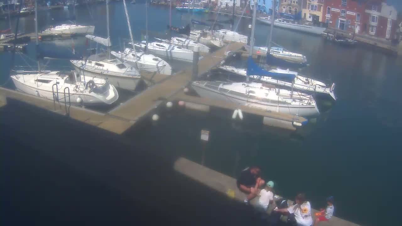 Many sailboats are docked in a marina on a sunny day, and a small group of people sits on a nearby dock.