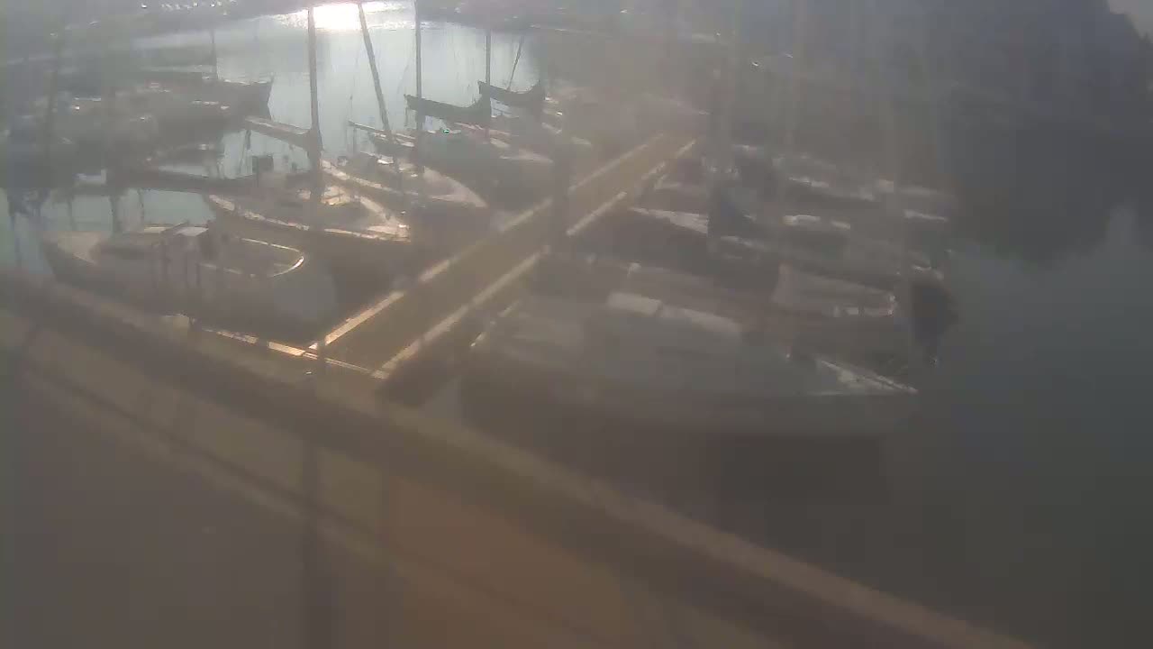 Many sailboats are docked at a marina on a hazy day.