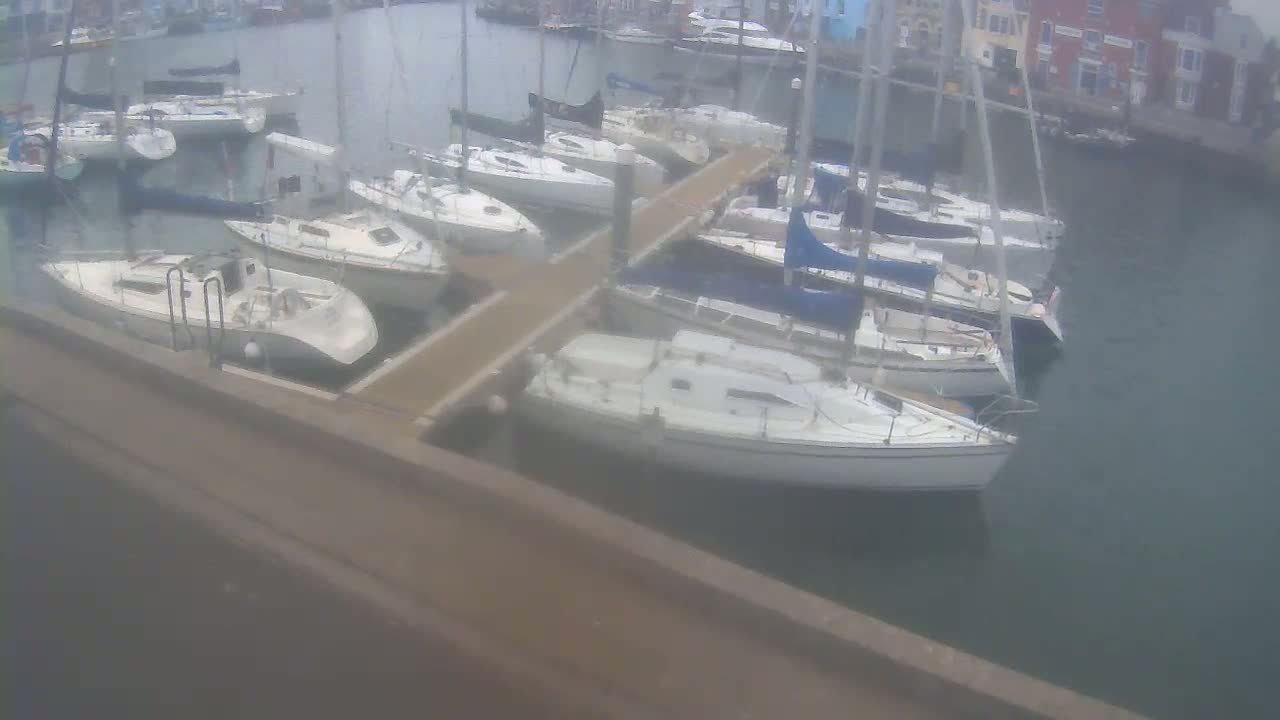 Many sailboats are docked at a marina on a cloudy day.