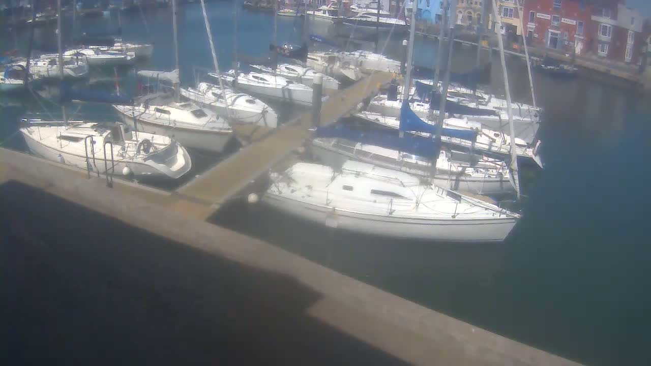 Many sailboats are docked in a marina on a sunny day.