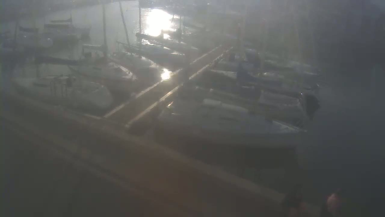 Several sailboats are docked at a marina on a hazy, sunny day.