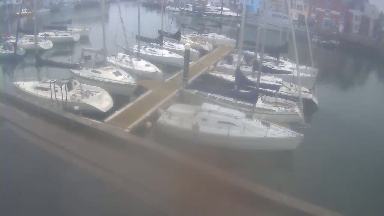 Numerous sailboats are docked at a marina on an overcast day.