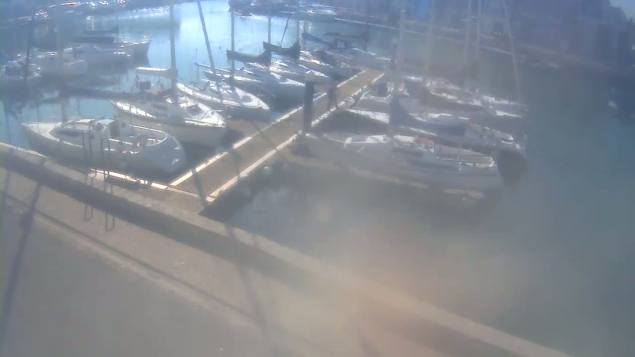 Many sailboats are docked at a marina on a hazy day.
