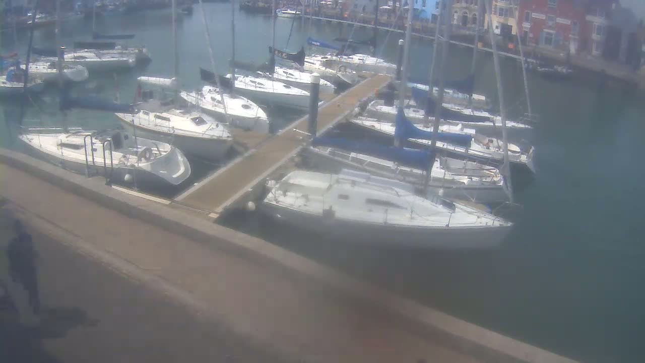 Many sailboats are docked at a marina on a calm, overcast day.