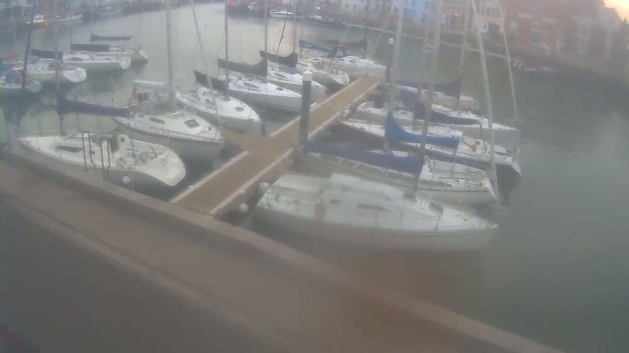 Many sailboats are docked at a marina on a calm, overcast day.