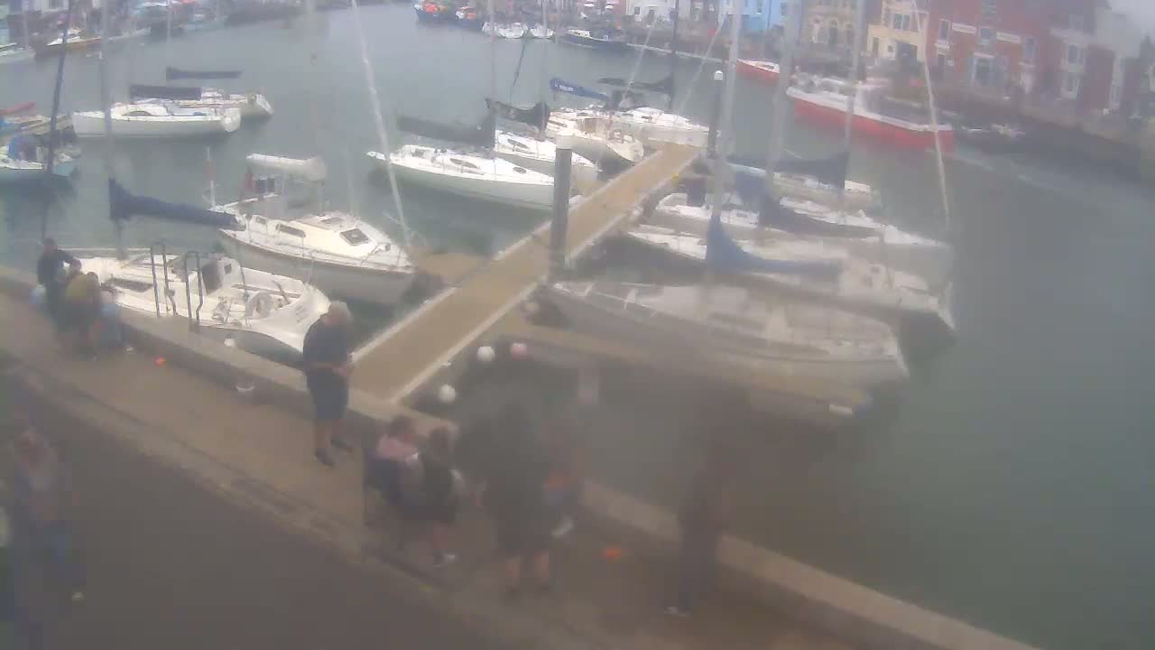 A marina with numerous sailboats docked, a small group of people standing near the water's edge on a somewhat overcast day.