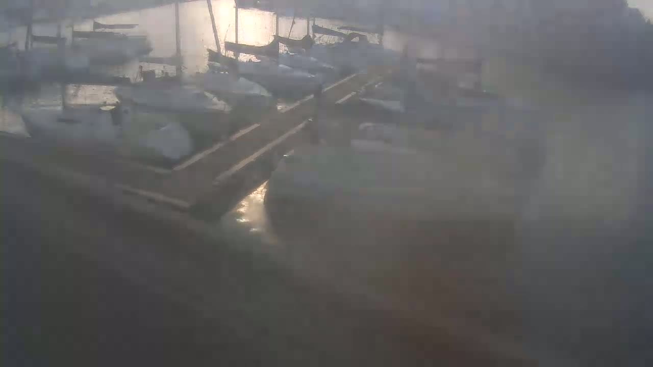 A hazy, sunlit scene shows numerous boats docked at a marina with a wooden walkway connecting the shore to the boats.