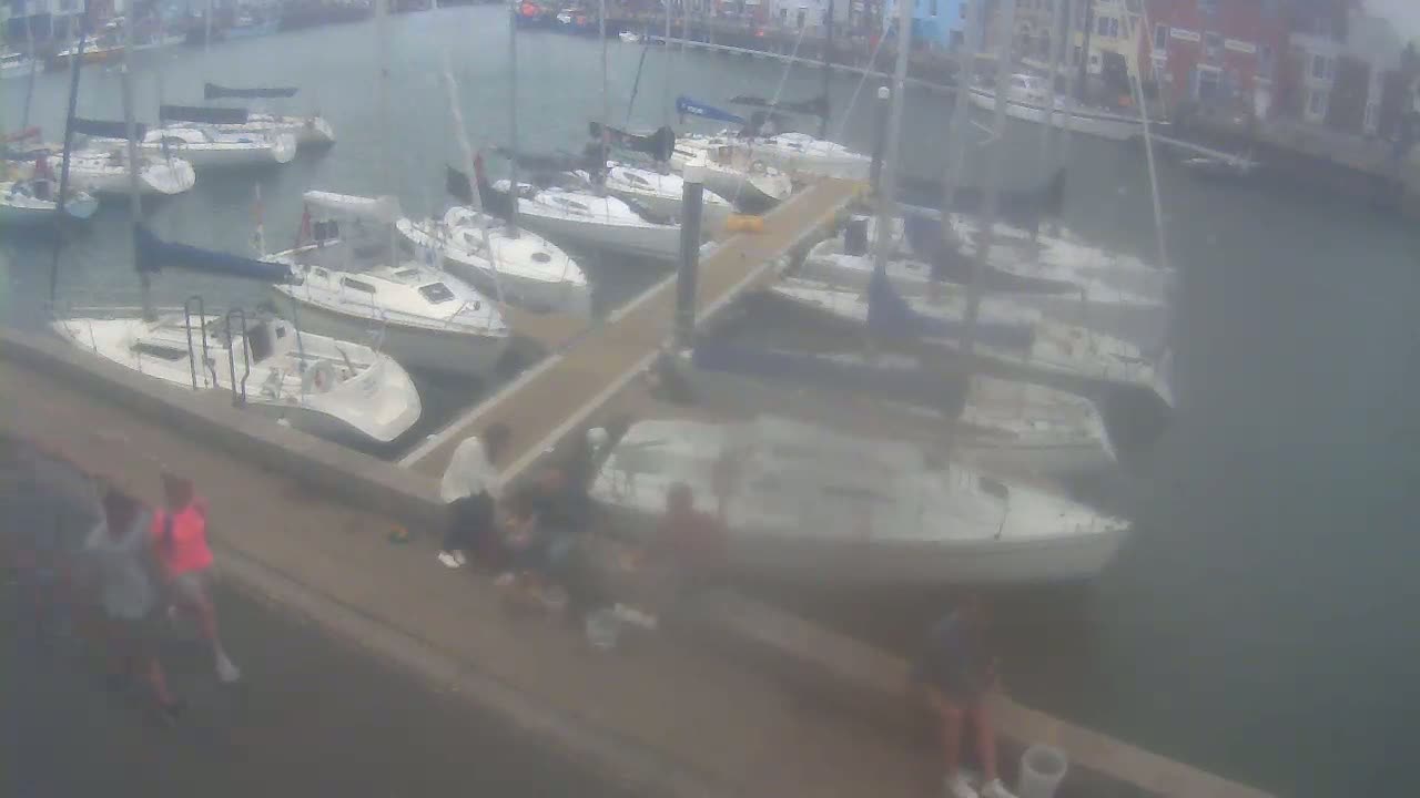 Numerous sailboats are docked at a marina on an overcast day, with several people standing near the water's edge.