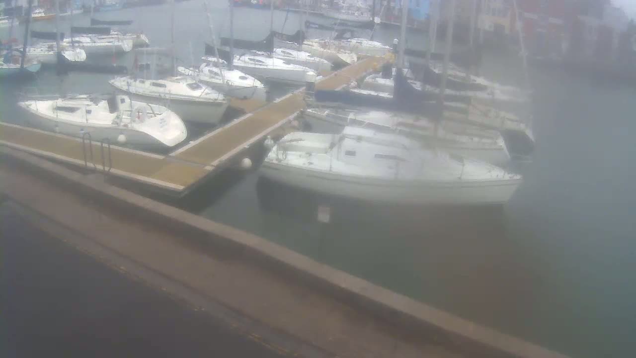 Numerous sailboats are docked at a marina on a foggy day.