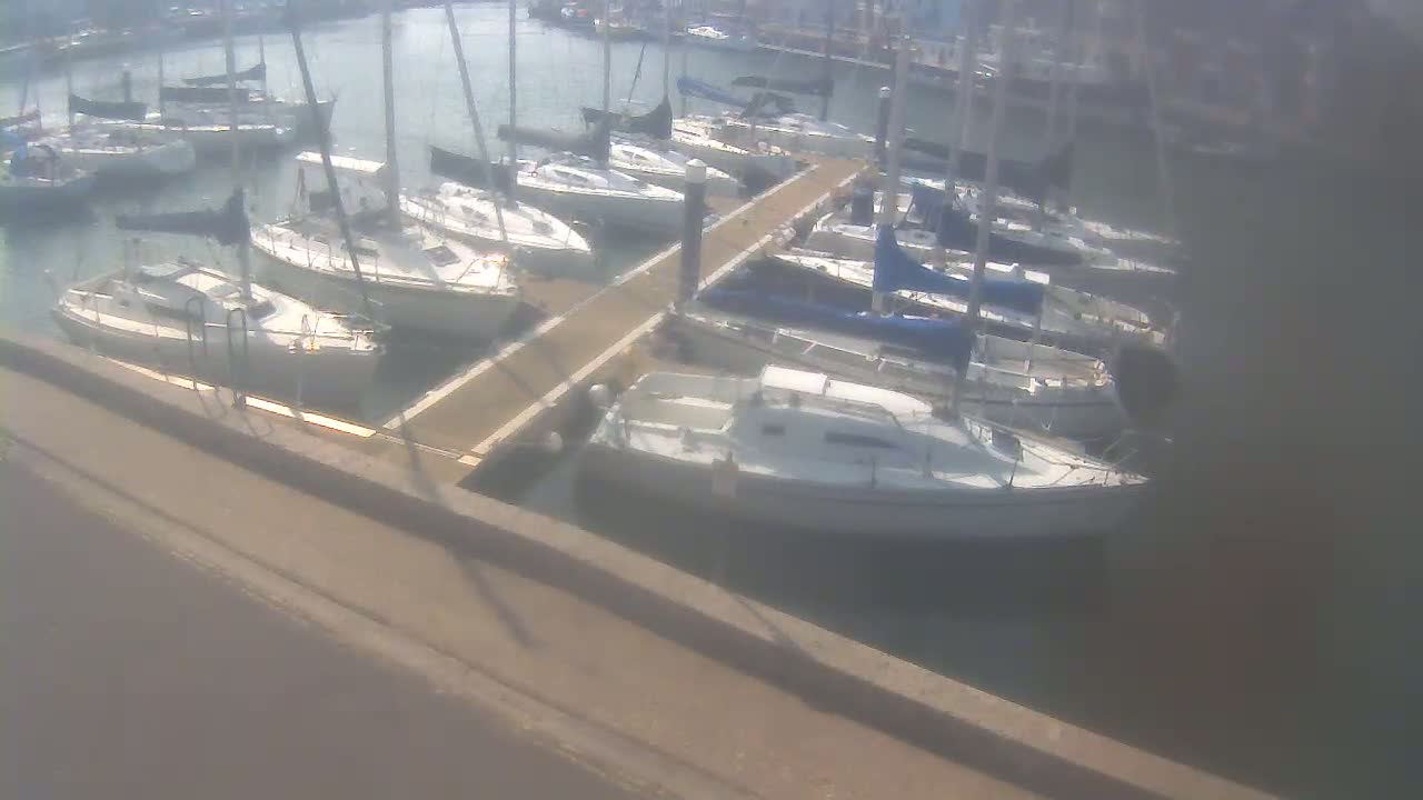 Many sailboats are moored at a marina on a sunny day.