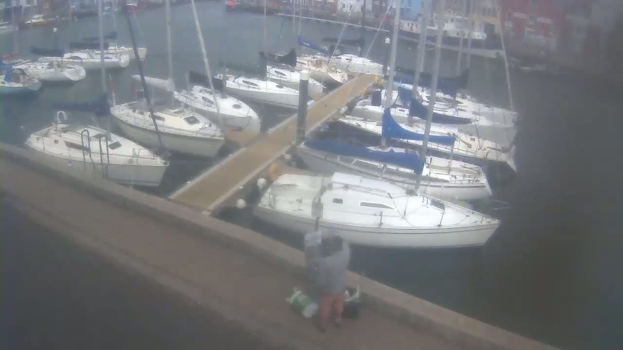 Several sailboats are docked at a marina on a cloudy day.