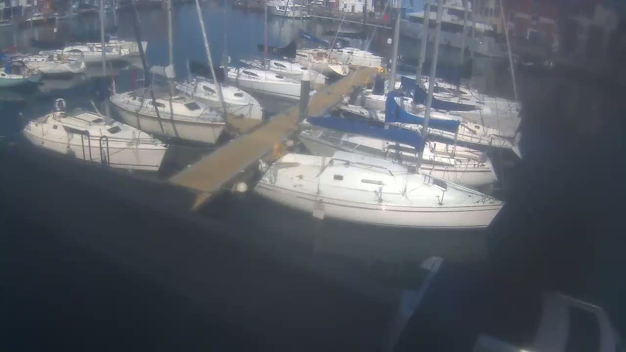 Many sailboats are docked at a marina on a sunny day.