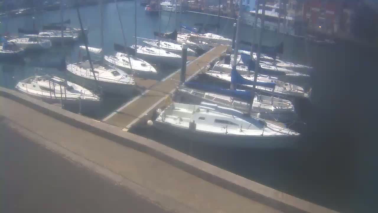 Numerous sailboats are docked at a marina on a sunny day.