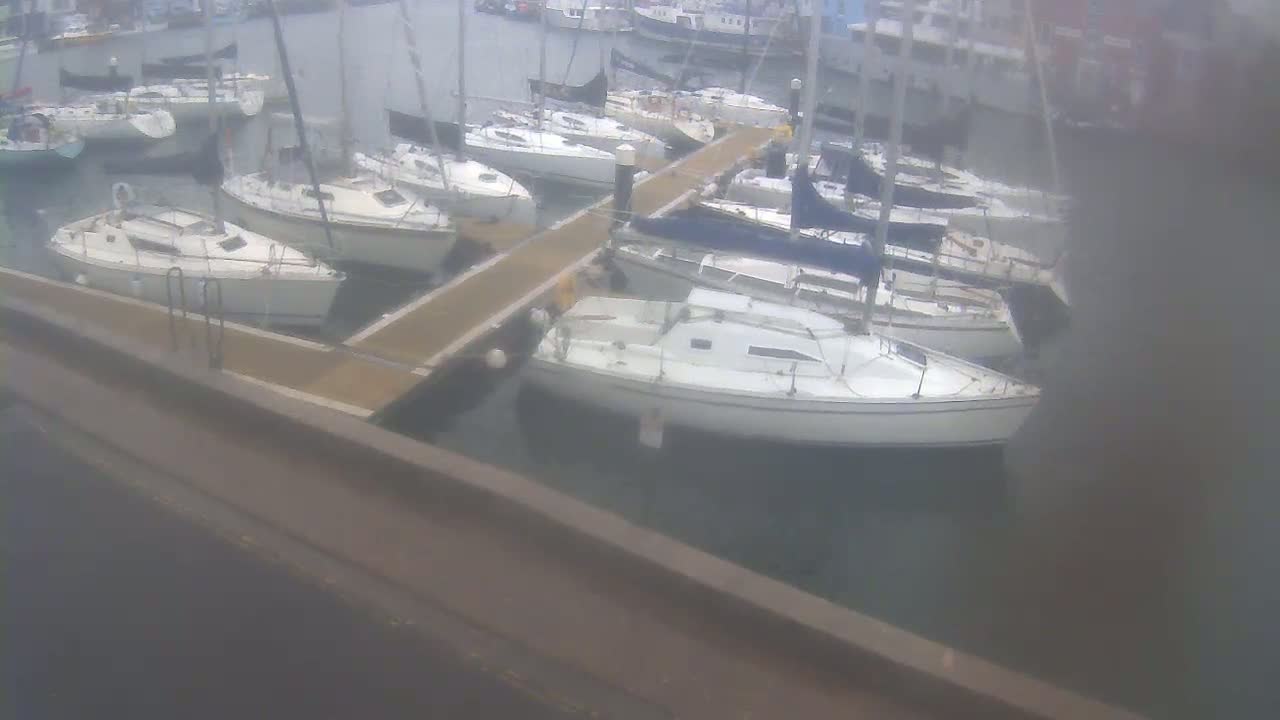 Several sailboats are moored at a marina on a calm, overcast day.
