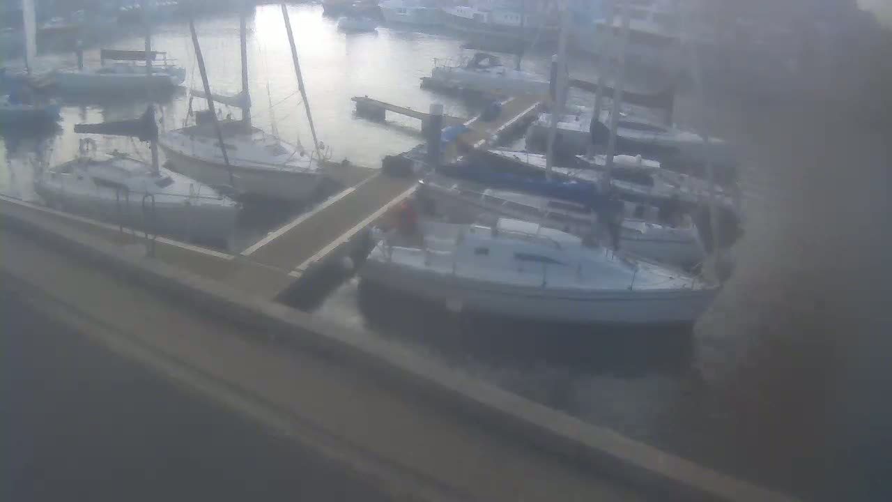 Several sailboats are moored at a dock in hazy or foggy conditions.