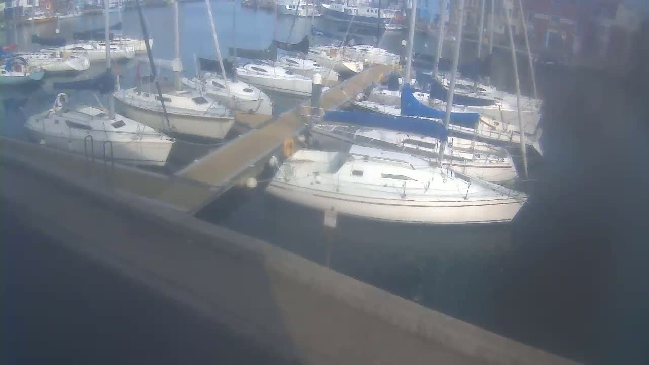 Many sailboats are docked at a marina on a calm day.