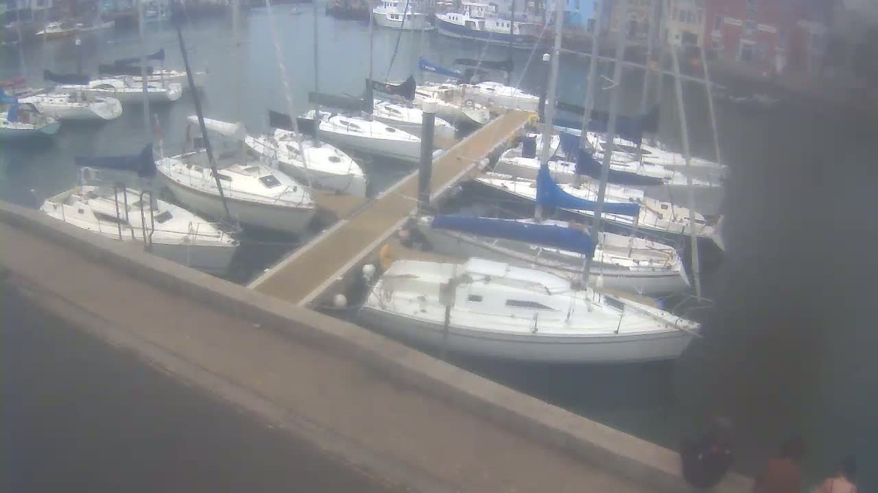 Many sailboats are docked at a marina on a cloudy day.