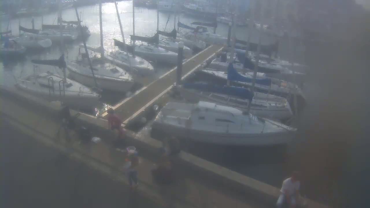 Several sailboats are docked at a marina on a hazy day, with a few people walking along a nearby walkway.