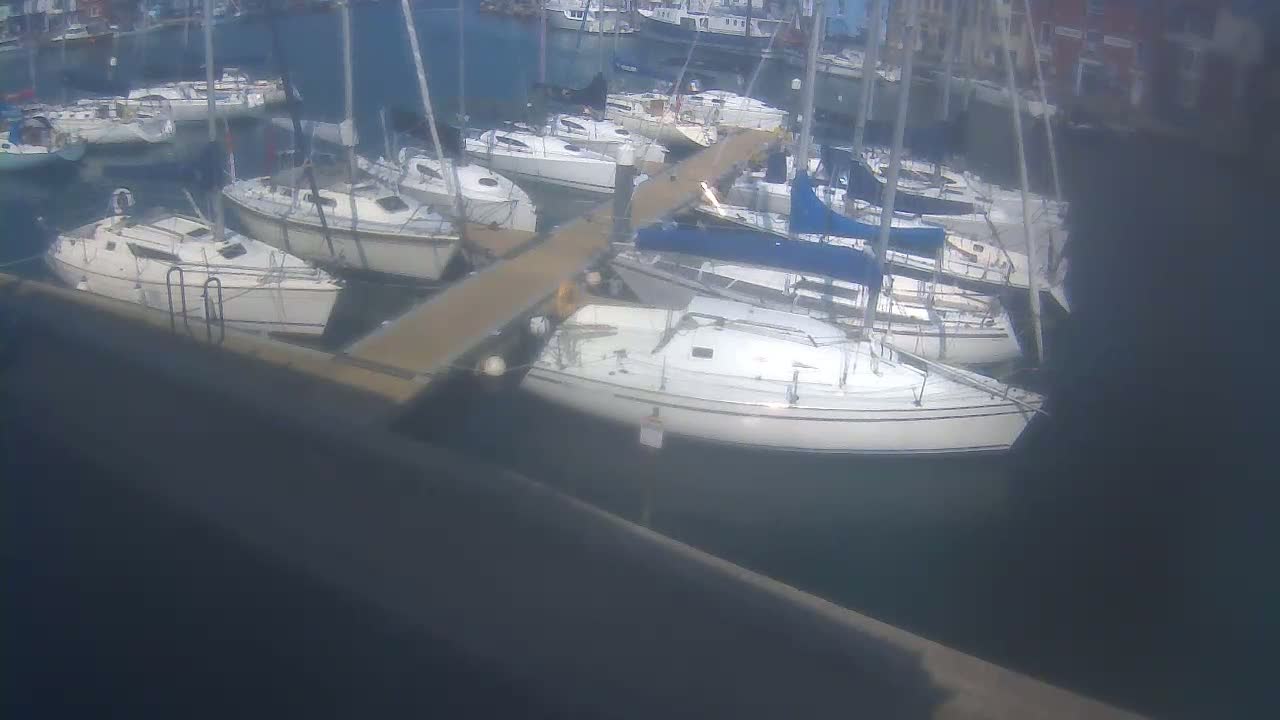 Several sailboats are moored at a marina on a calm, sunny day.