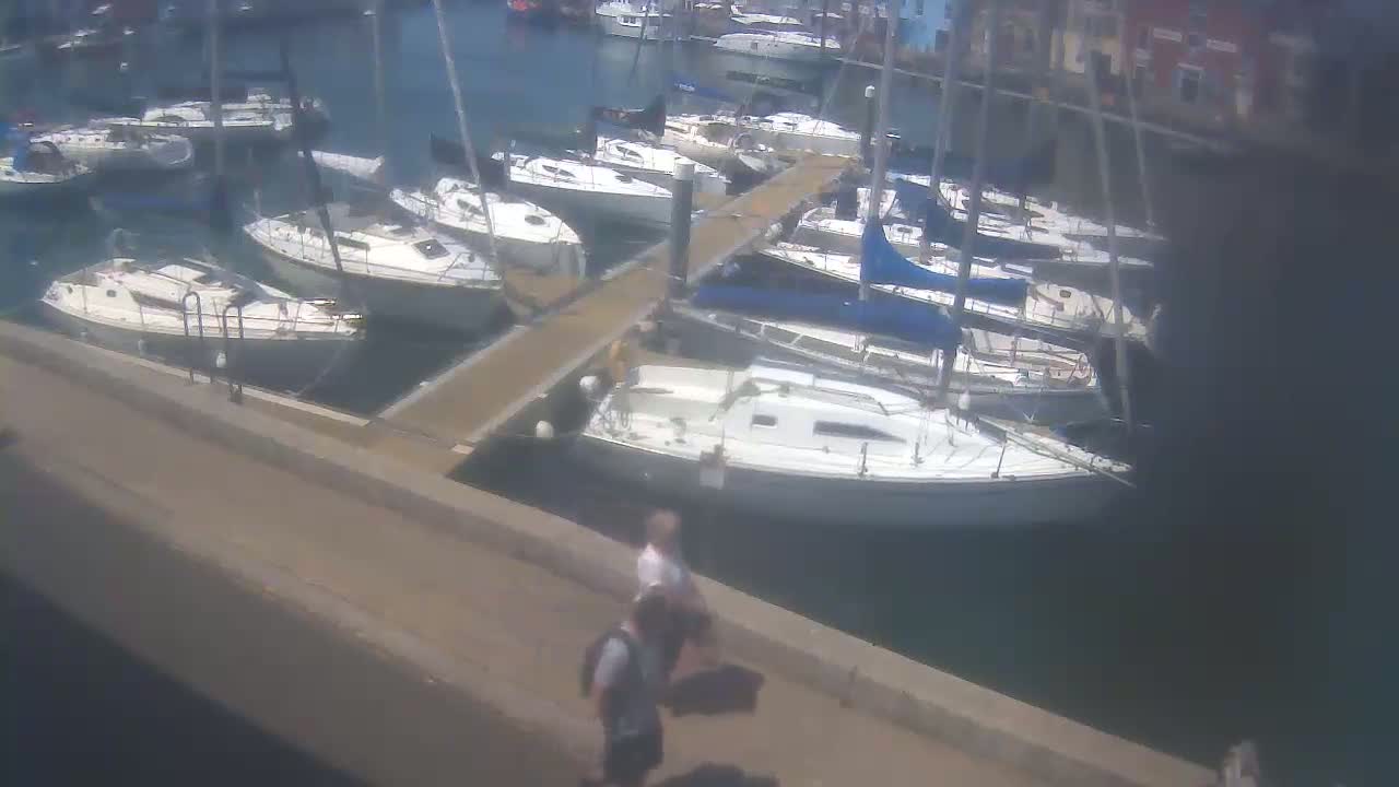 A marina with numerous sailboats docked along a wooden walkway, two people walk along a nearby path on a sunny day.