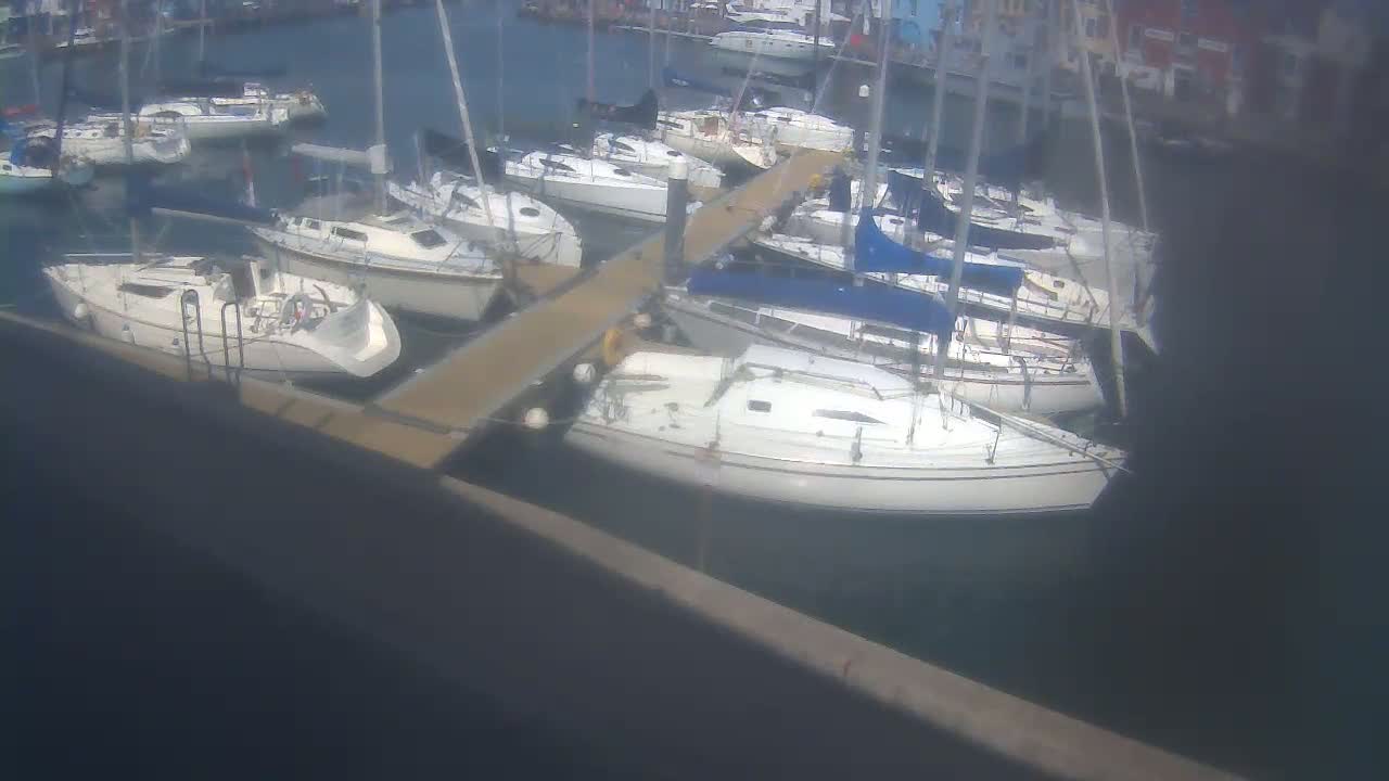 Many sailboats are docked at a marina on a sunny day.