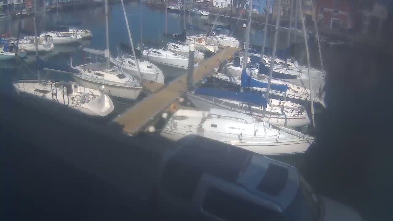 Many sailboats are docked at a marina on a sunny day.