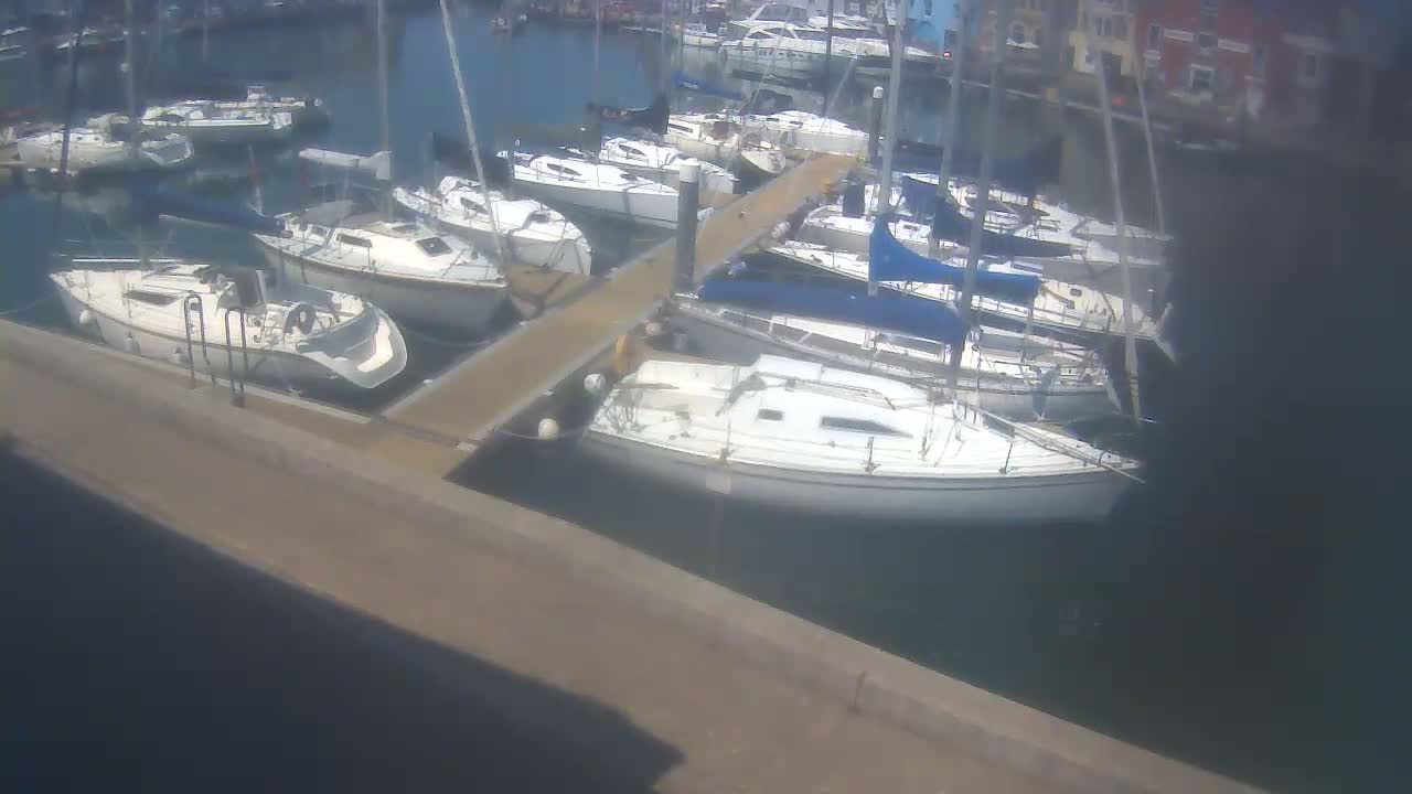 Many sailboats are docked at a marina on a sunny day.
