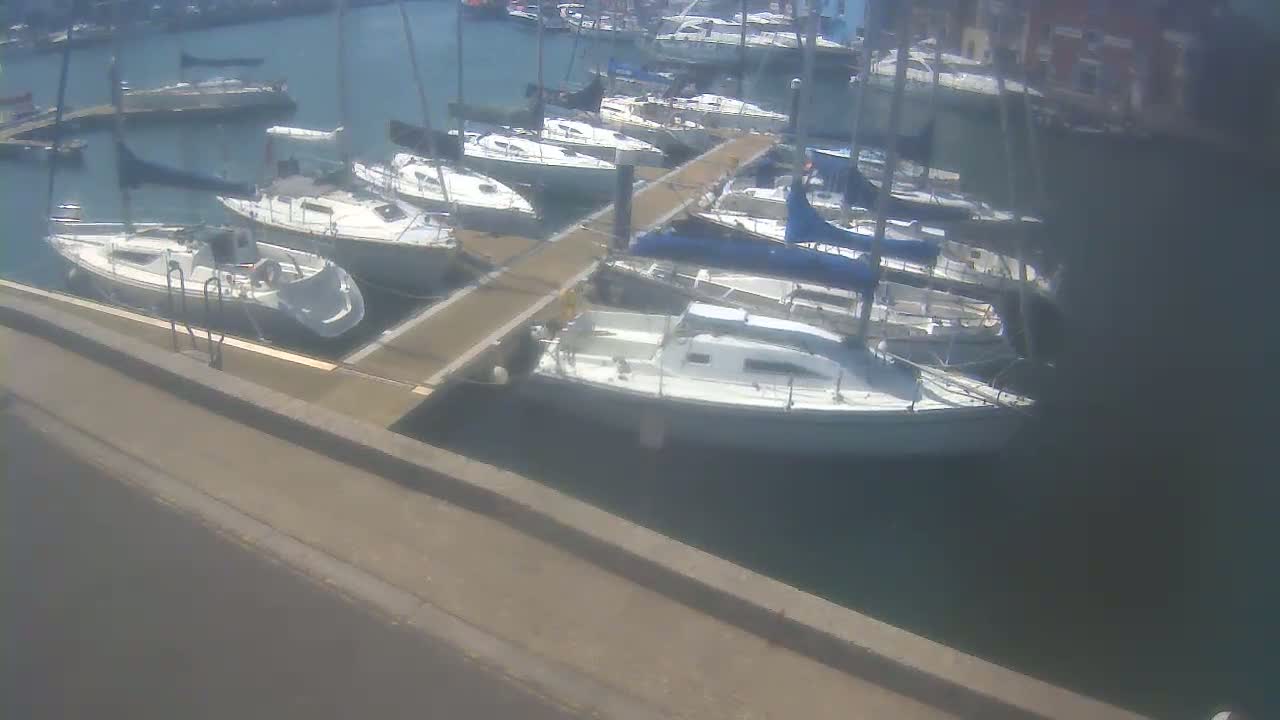 Many sailboats are docked at a marina on a sunny day.