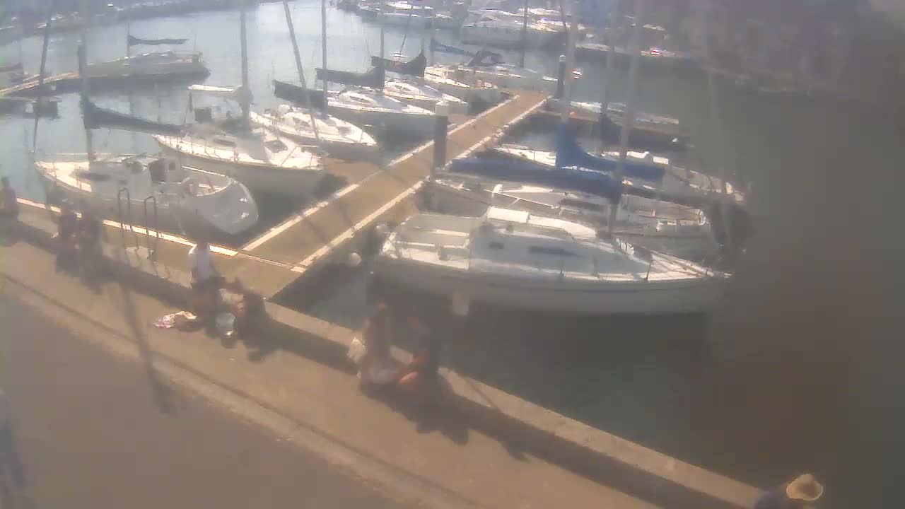 Several sailboats are docked at a marina on a sunny day.