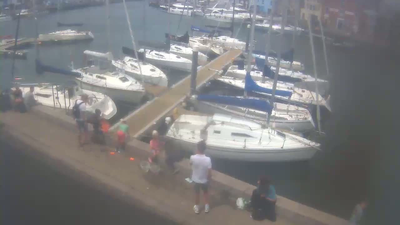 Many sailboats are docked at a marina on an overcast day, with several people standing on a nearby quay.